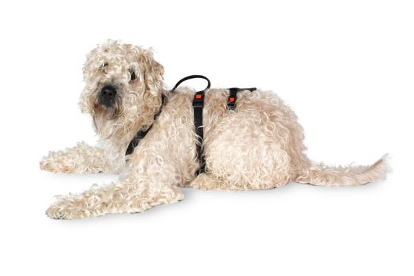 Sicherheitsgeschirr - ausbruchsicheres Geschirr für Angsthunde, Panikgeschirr